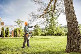 Best Leaf Removal Services  in USA